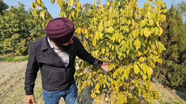 ਗੁਸਿਮਰਨ ਸਿੰਘ