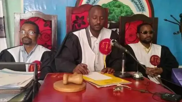 ጉዳዩን የተመለከቱት ዳኞች 