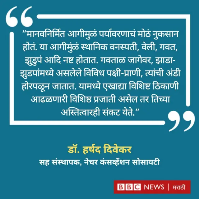 ग्राफिक्स