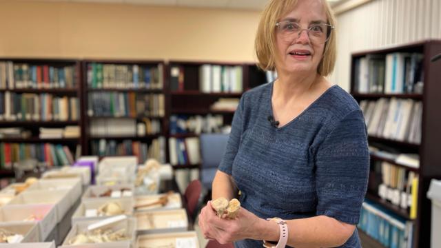 Terry Kensler, curadora da coleçãojogar truco gratisossos do CPRC