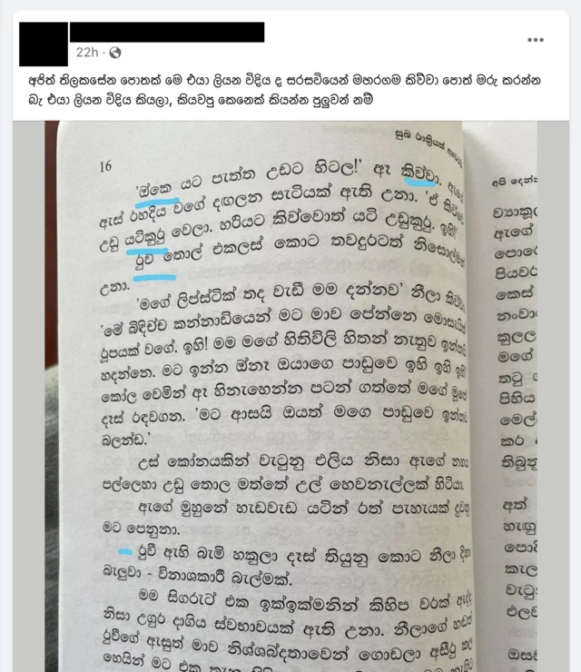 Post on Ajith Thilakasena's language use