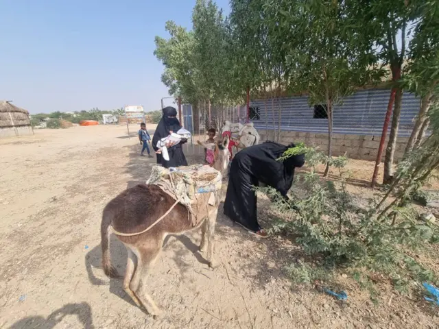 يقول برنامج الأغذية العالمي إن 70% من العائلات النازحة تكافح من أجل سد أبسط احتياجاتها من الغذاء