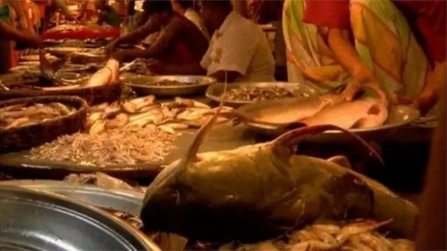 মাছের দাম এখনো সবসময় নিম্নবিত্তের নাগালের মধ্যে থাকে না 