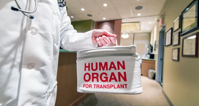 التبرع بالكلى