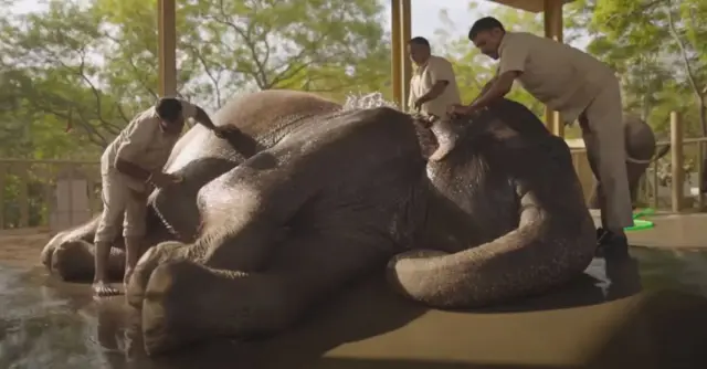 रिलायन्स फाउंडेशनने जारी केलेल्या व्हीडिओतलं दृश्य