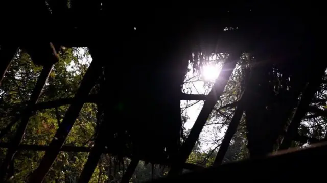 அவரது மனைவி லட்சுமி, அவரது தாய், தந்தை மற்றும் மகன் கங்கிரெட்டி என அனைவரும் அந்த வனத்திலேயே தங்கிவிட்டனர்.