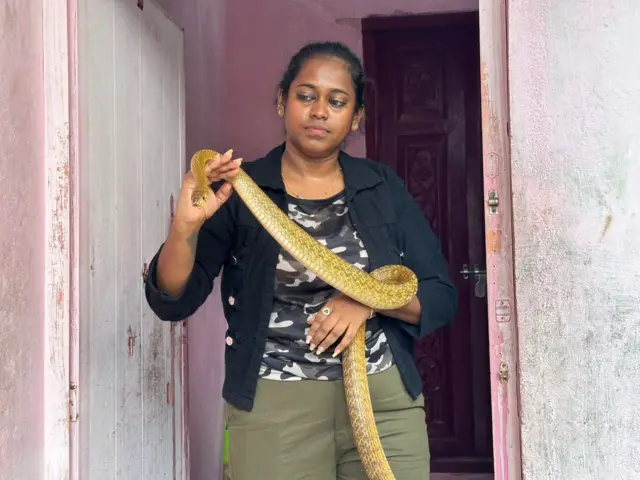பாம்புகளை மீட்கும் பெண்