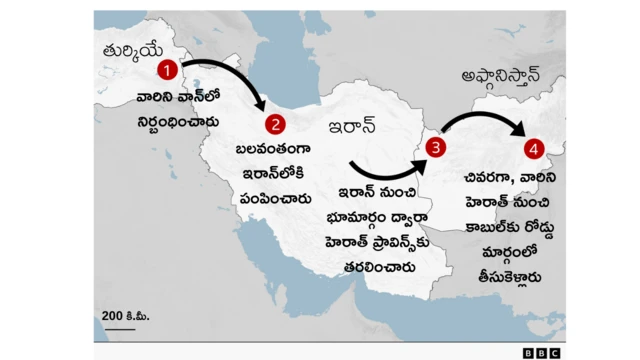 అఫ్గాన్ పౌరులు, తుర్కియే, వలసలు