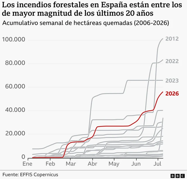 Gráfico sobre la magnitud de los incendios forestales en España.