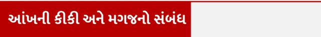 બીબીસી ગુજરાતી, વિજ્ઞાન, ઊંઘ, સ્મૃતિ, ઉંદર