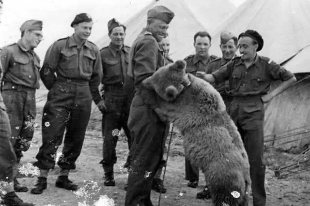 O urso Wojtek de pé sobre as patas traseiras ao lado de um soldado do Exército polonês, enquanto outros soldados observam