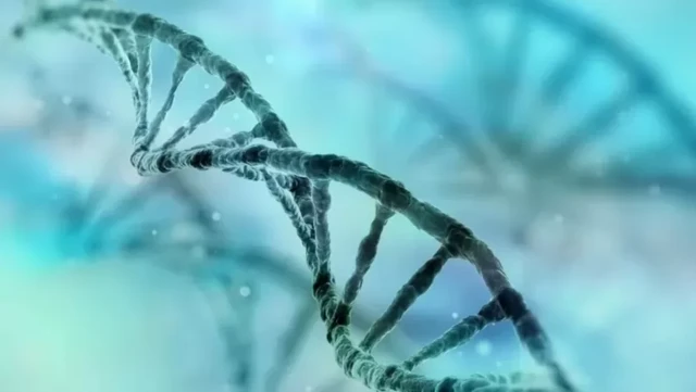 అపరిచిత కవలలు