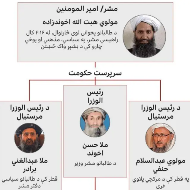 د طالبانو مهم مشران