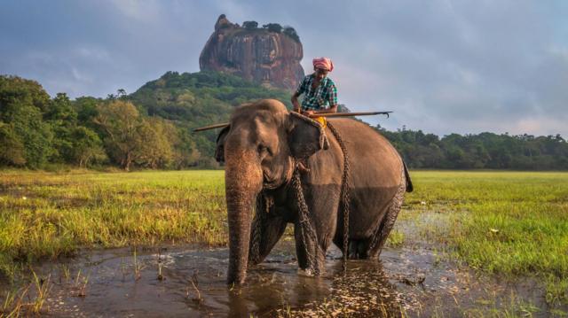 இலங்கை சுற்றுலா - குறைந்த செலவில் செல்ல அவசியம் தெரிந்துகொள்ள வேண்டிய தகவல்கள்