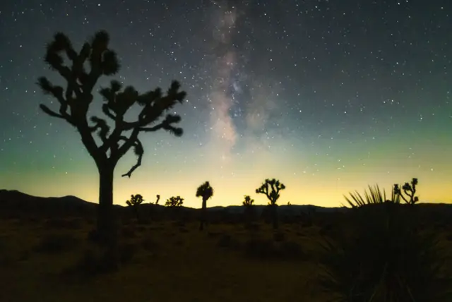 Céu noturno no Parque Nacional Joshua Tree, na Califórnia