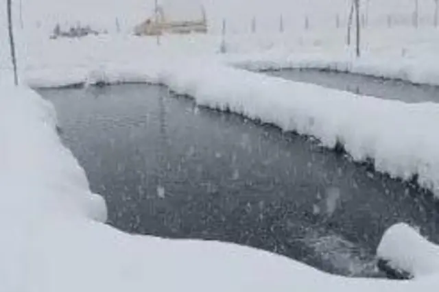 Сталбек Абдрахмановдун балык чарбасы