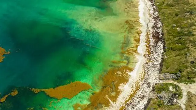 Айрым изилдөөчүлөр Дуйнөлүк океандын түсү дагы өзгөрө баштаганын аныкташкан