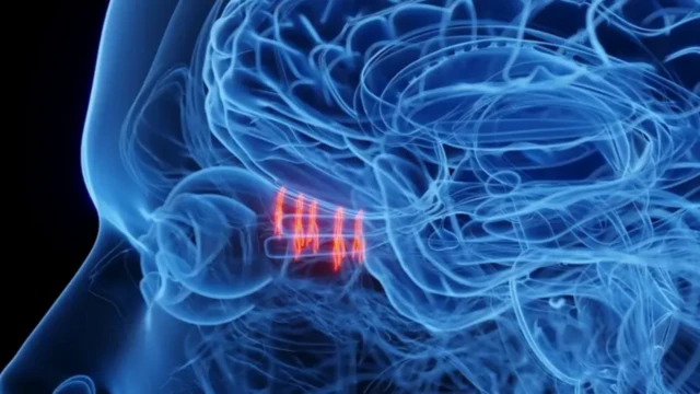 ਸੰਕੇਤਕ ਤਸਵੀਰ