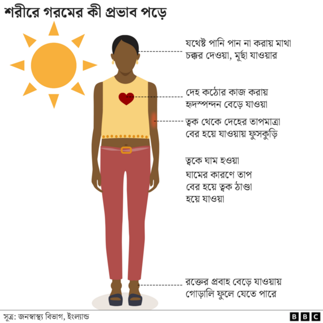 শরীরে গরমের প্রভাব