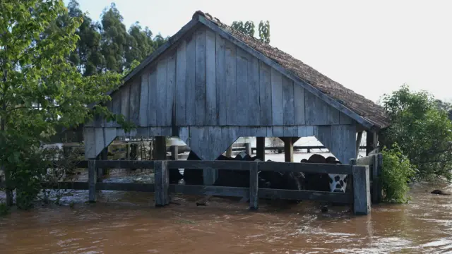 Propriedade submersajogo que da dinheiro realmeio a enchente