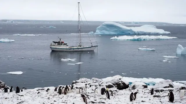 Une expédition dans le nord de la mer de Weddell, en Antarctique.