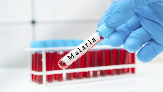 Malaria