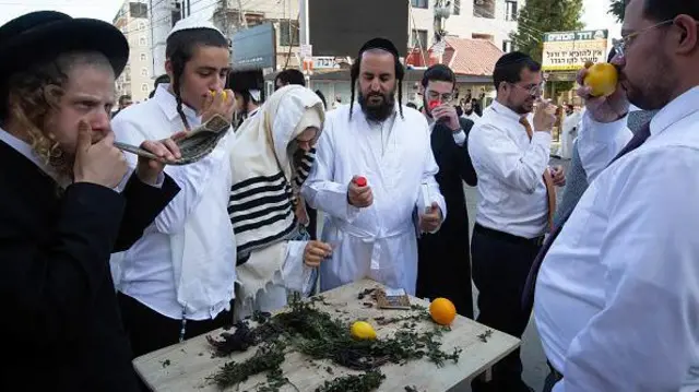 хасиди, Умань