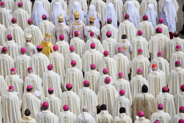 Kardinali u belom sa roze kapicama slikani s leđa