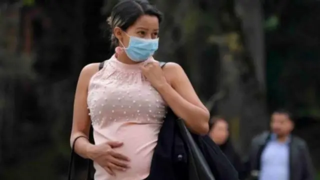 గర్భిణీ