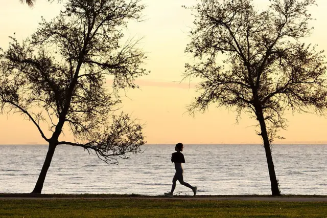 Florida, St Petersburg’da gün doğumu saatlerinde iki ağaç arasında koşan bir kadının silueti. Gökyüzü soluk sarı, su ise gümüşi mavi.