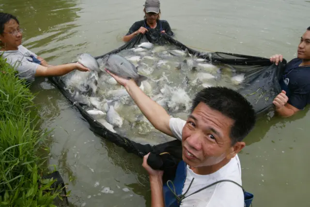 South China Morning Post/Getty Images