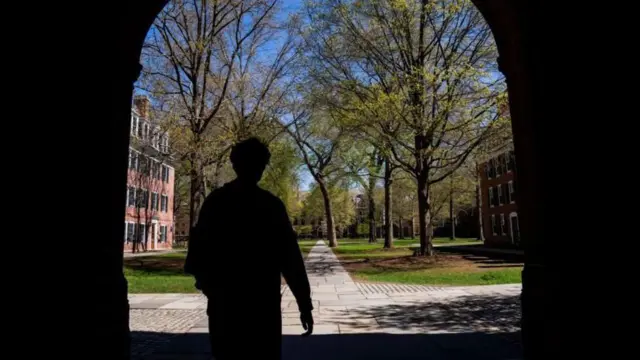 বিদেশি শিক্ষার্থীরা ভয় পাচ্ছেন যে, ট্রাম্পের কঠোর অভিবাসন নীতির কারণে তারাও ক্ষতিগ্রস্ত হতে পারেন