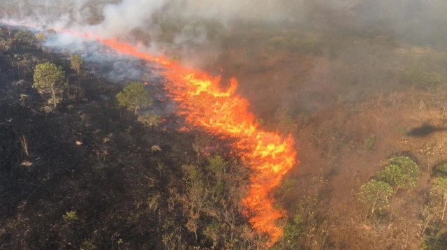 Fogo destruindo vegetação em Parque Nacional 