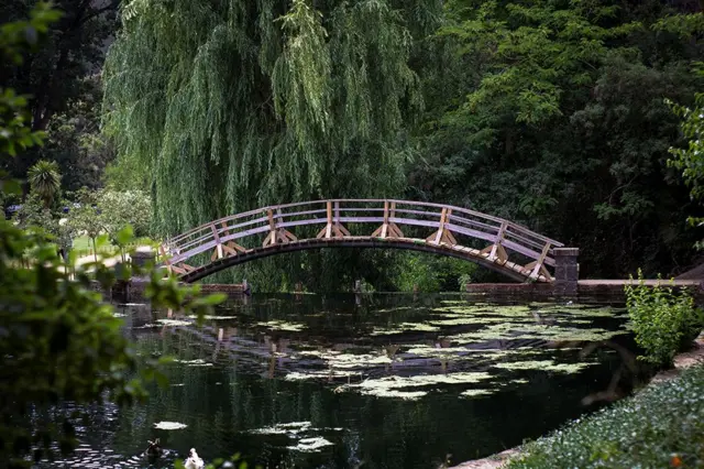 Vista de un lago del Jardín. 