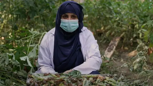 سنیل فارمنگ