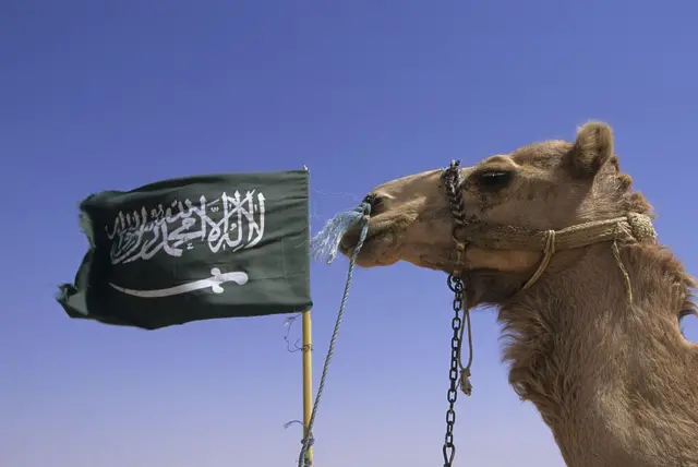 ۱۹۹۸ کال اوښ او د سعودي بیرغ