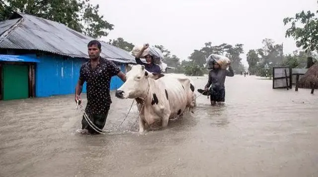 বন্যায় কৃষি, মৎস্য ও প্রাণিসম্পদের ব্যাপক ক্ষতি হয়েছে