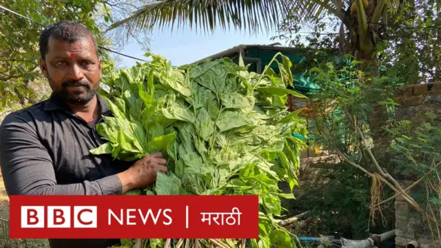 रेशीम शेती