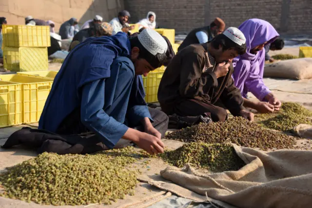 ځوانان