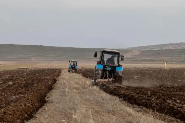 Казакстан, Жамбыл облусу, эгин себүү маалы 