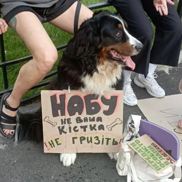 протест 