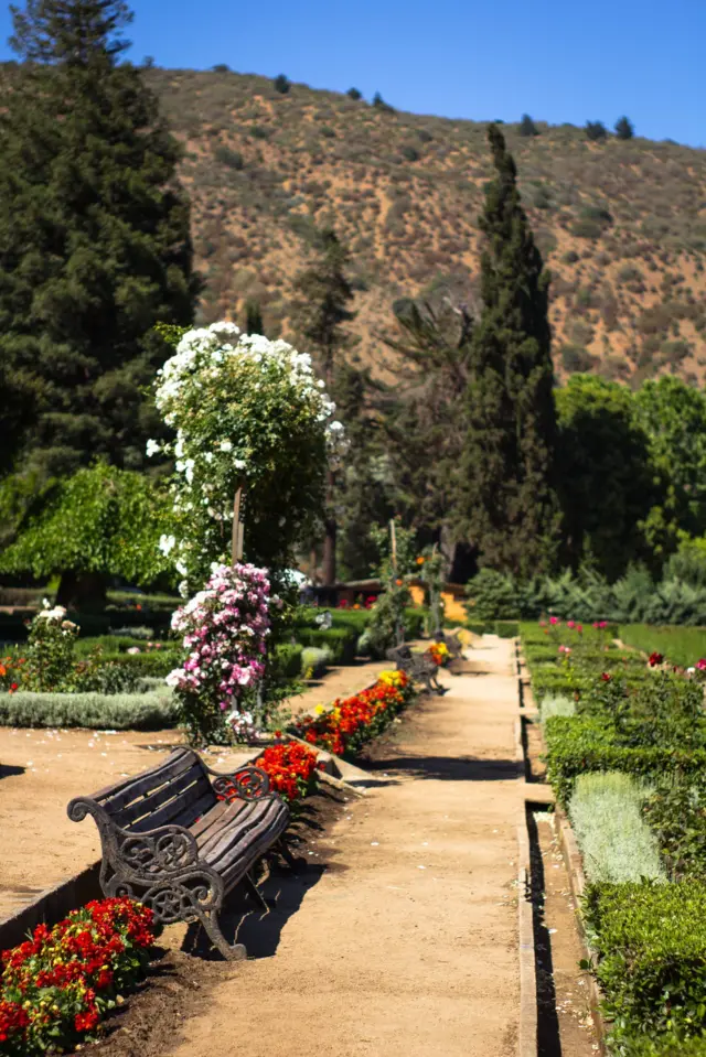 Imagen de un banco y flores del jardín botánico antes del incendio. 