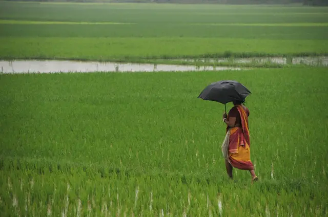 બીબીસી ગુજરાતી