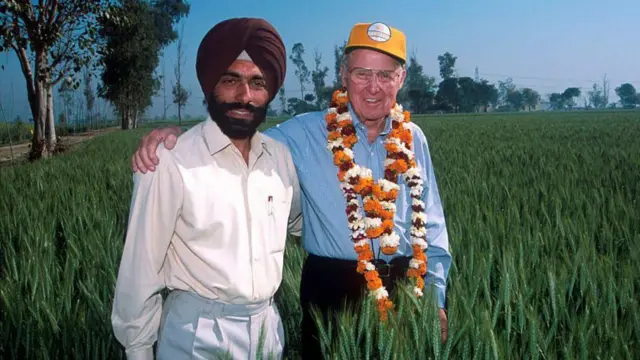 भारत में एक खेत में अमेरिकी कृषि वैज्ञानिक नॉर्मन बोरलॉग