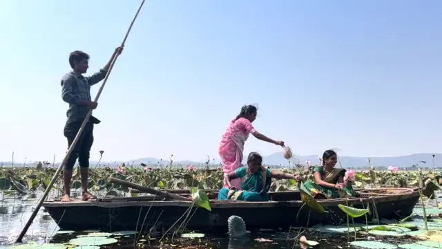 महिलाएं