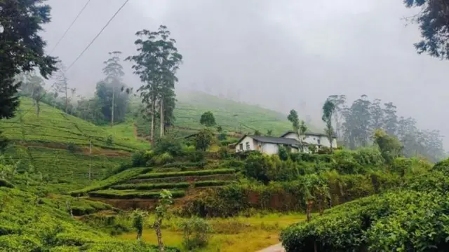 तामिळनाडू