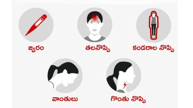 ప్రపంచ ఆరోగ్య సంస్థ ప్రకారం ఇవి నిపా లక్షణాలు