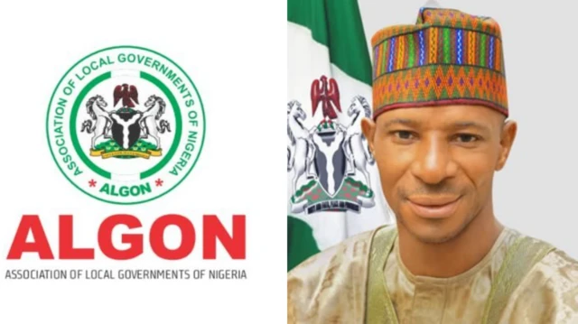 Onyeisioche ALGON na njirimara ha