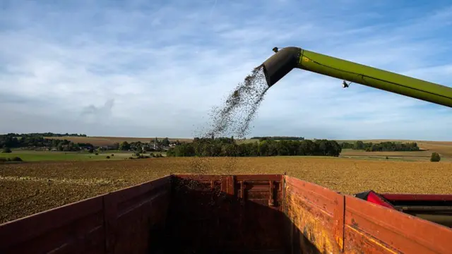 तेल प्रशोधन 