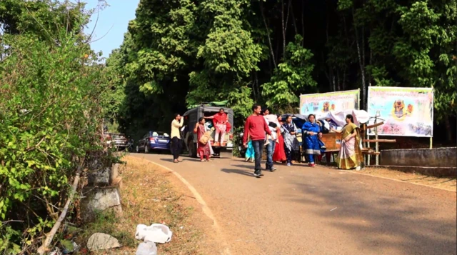 పాడేరు, పింక్ ఫారెస్ట్, అరకు, లంబసింగి, ఉప్ప చెట్లు, ఆంధ్రా యూనివర్సిటీ